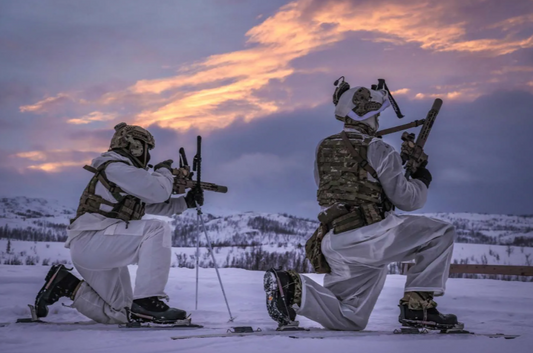 Royal Marines Return to the Arctic: Strengthening NATO's Northern Flank with Norway