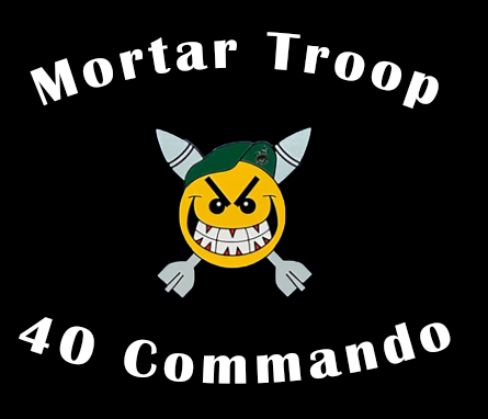 Mortar Troop 40 Commando Training Shorts Dark