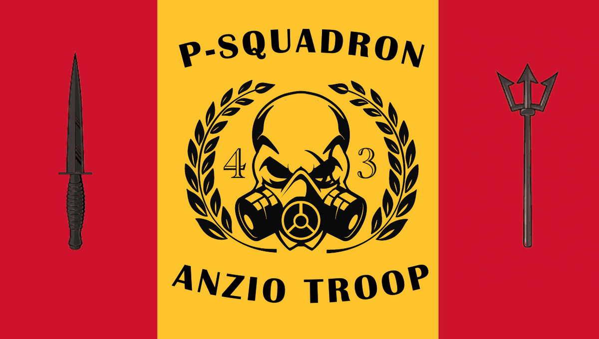 Anzio Troop 43 Commando Flag