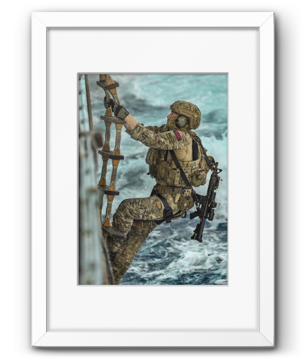 Framed & Mounted 